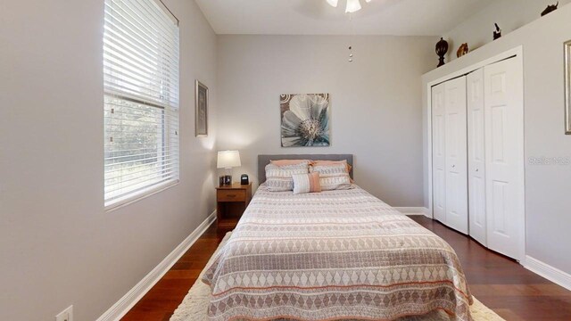 7244 Wild Oak Ln, Land O Lakes, FL 34637 - photo 33