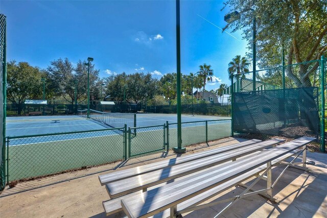7244 Wild Oak Ln, Land O Lakes, FL 34637 - photo 51