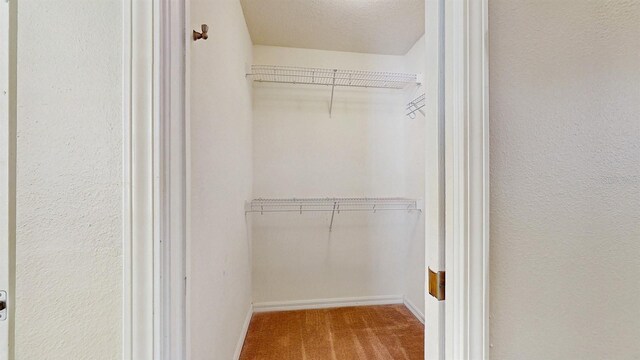 2728 Abbey Grove Dr, Valrico, FL 33594 - photo 27