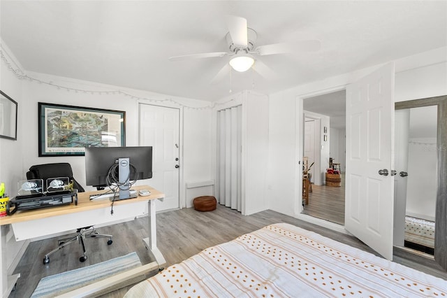 4922 Bola St, New Port Richey, FL 34652 - bedroom featuring a desk, wood finished floors, and ceiling fan