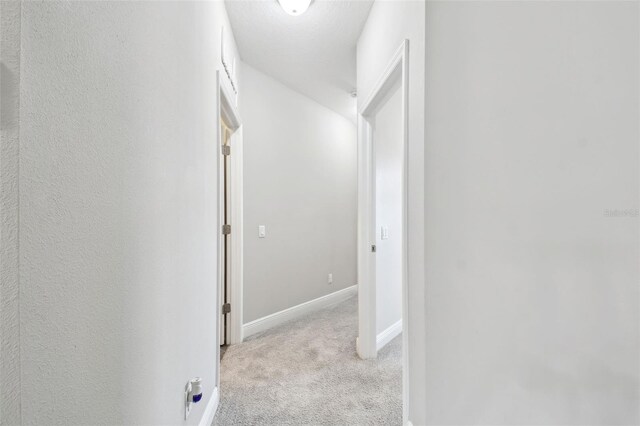 2432 Golden Pasture Cir, Clearwater, FL 33764 - photo 34