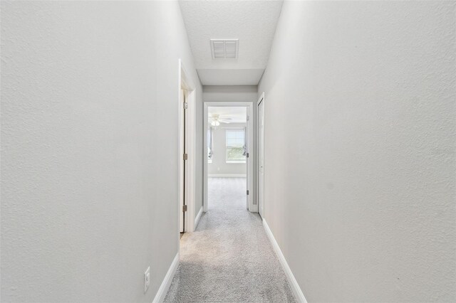 2432 Golden Pasture Cir, Clearwater, FL 33764 - photo 42
