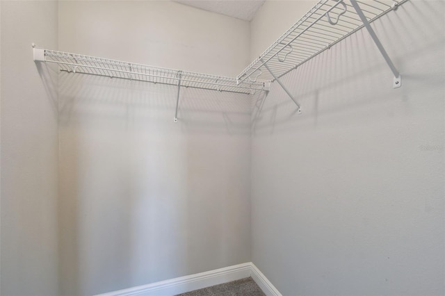 2432 Golden Pasture Cir, Clearwater, FL 33764 - photo 51