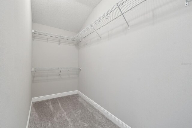 2432 Golden Pasture Cir, Clearwater, FL 33764 - photo 58