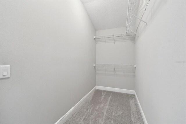 2432 Golden Pasture Cir, Clearwater, FL 33764 - photo 59