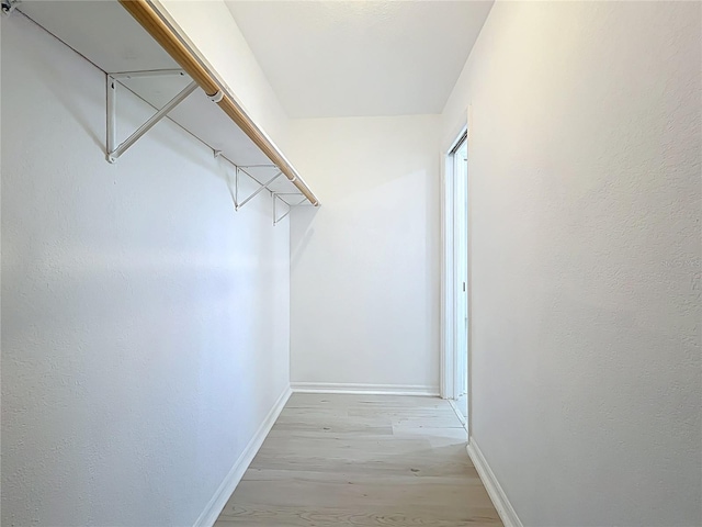 21426 Quesada Ave, Port Charlotte, FL 33952 - walk in closet featuring light wood-style floors