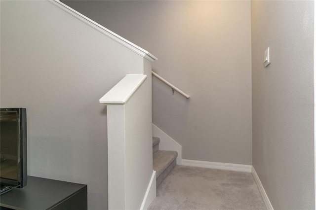 2801 Midnight Pearl Dr, Sarasota, FL 34240 - stairway with carpet floors and baseboards
