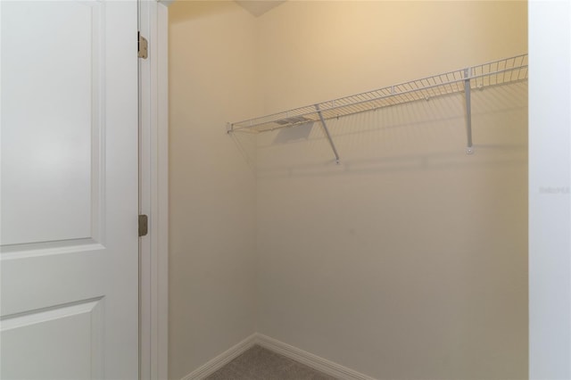2801 Midnight Pearl Dr, Sarasota, FL 34240 - spacious closet with carpet flooring
