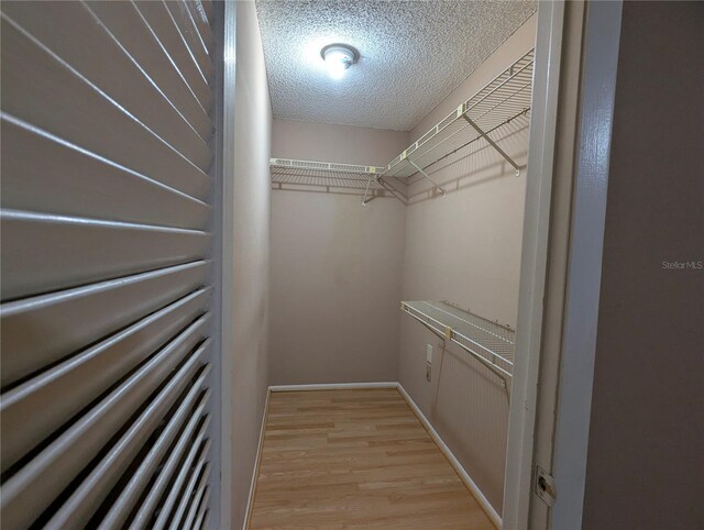 11705 Raintree Village Blvd Unit C, Temple Terrace, FL 33617 - photo 23