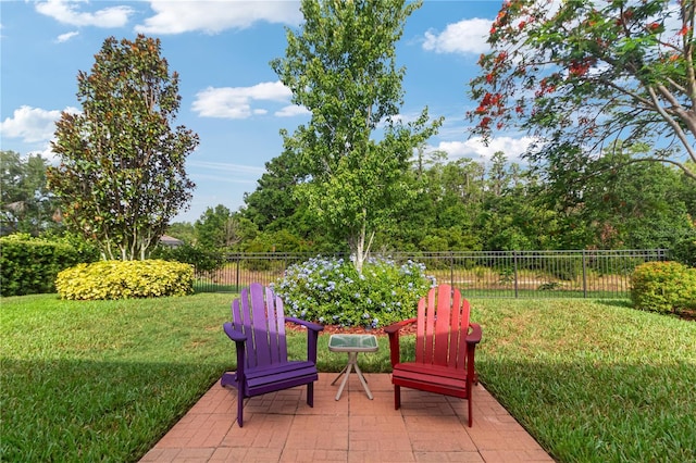 19418 Butterwood Ln, Lutz, FL 33558 - view of patio / terrace