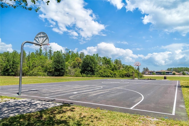 19418 Butterwood Ln, Lutz, FL 33558 - view of sport court with community basketball court and a lawn