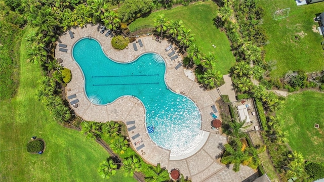3762 Mossy Limb Ct, Palmetto, FL 34221 - aerial view of a pool area