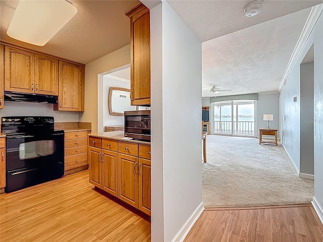 7665 Sun Island Dr Unit 206, South Pasadena, FL 33707 - photo 6