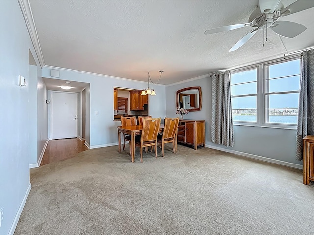 7665 Sun Island Dr Unit 206, South Pasadena, FL 33707 - photo 9