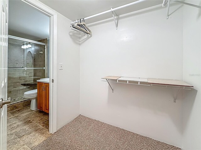 7665 Sun Island Dr Unit 206, South Pasadena, FL 33707 - photo 25