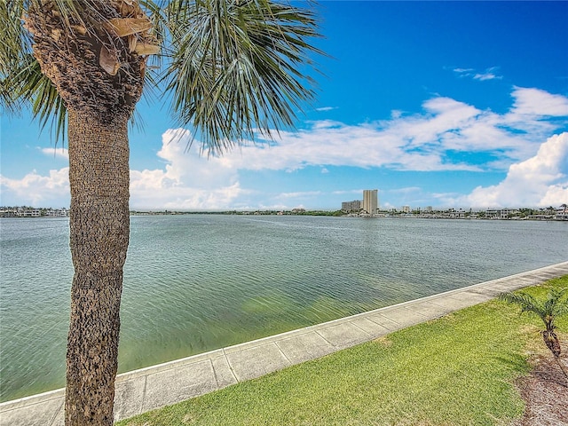 7665 Sun Island Dr Unit 206, South Pasadena, FL 33707 - photo 40