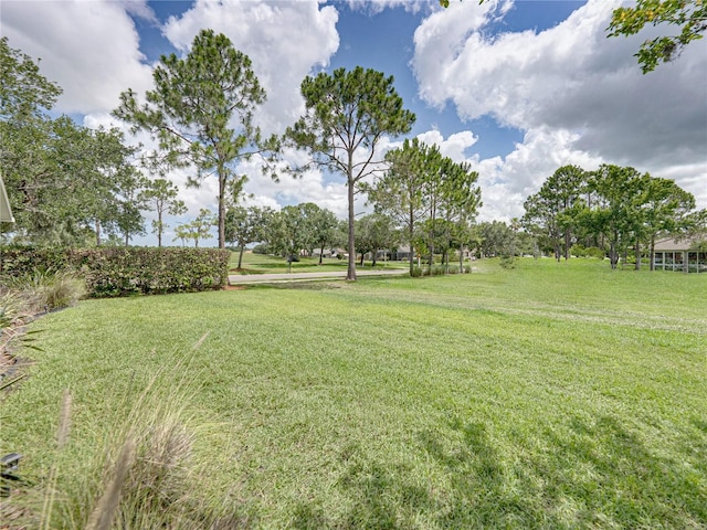 1338 Winding Willow Dr, Trinity, FL 34655 - view of grassy yard