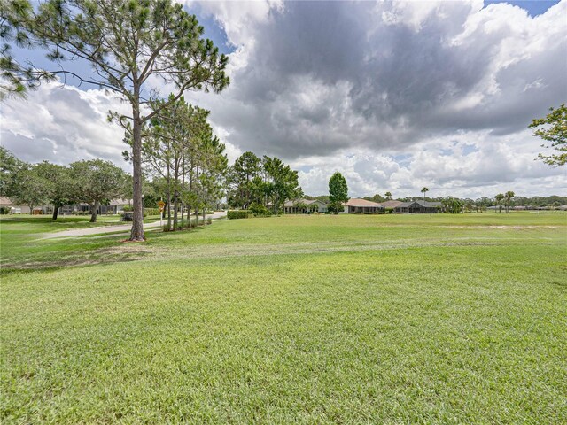 1338 Winding Willow Dr, Trinity, FL 34655 - view of grassy yard