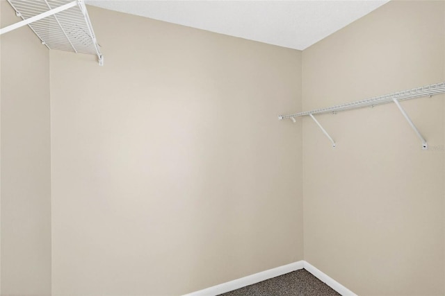 7821 Niagara Ave Unit 2102, Tampa, FL 33617 - photo 23