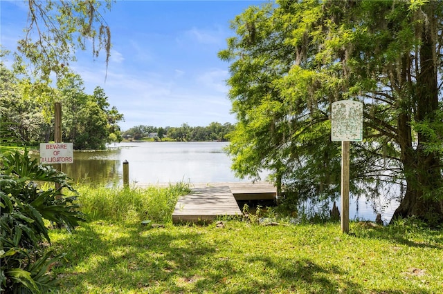 7821 Niagara Ave Unit 2102, Tampa, FL 33617 - photo 30