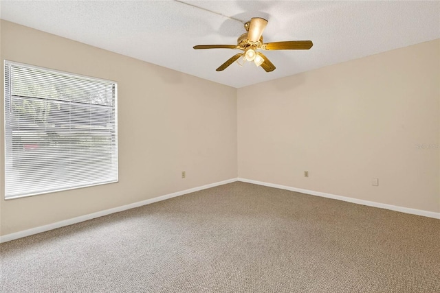 7821 Niagara Ave Unit 2102, Tampa, FL 33617 - photo 20