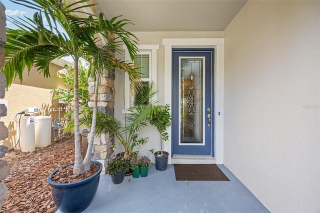 3532 Wicket Field Rd, Lutz, FL 33548 - doorway to property featuring stucco siding