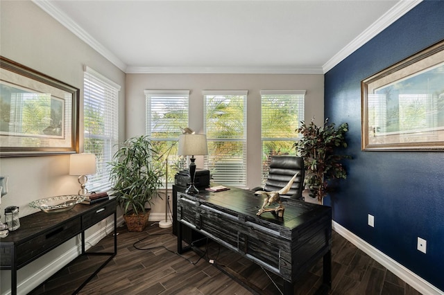 3532 Wicket Field Rd, Lutz, FL 33548 - office area with healthy amount of natural light, dark wood-type flooring, and ornamental molding