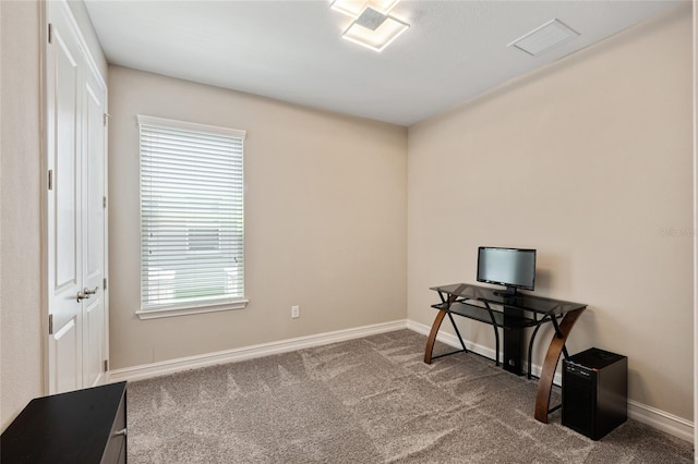 3532 Wicket Field Rd, Lutz, FL 33548 - misc room featuring carpet flooring