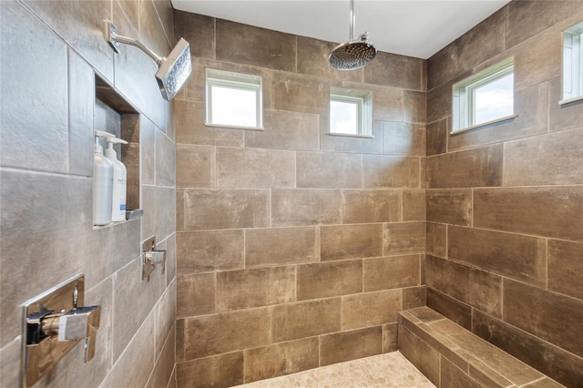 3532 Wicket Field Rd, Lutz, FL 33548 - bathroom featuring tiled shower and healthy amount of natural light