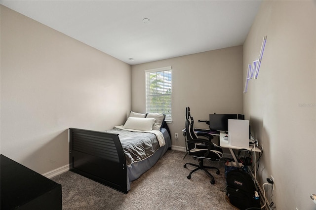 3532 Wicket Field Rd, Lutz, FL 33548 - carpeted bedroom with baseboards and a desk