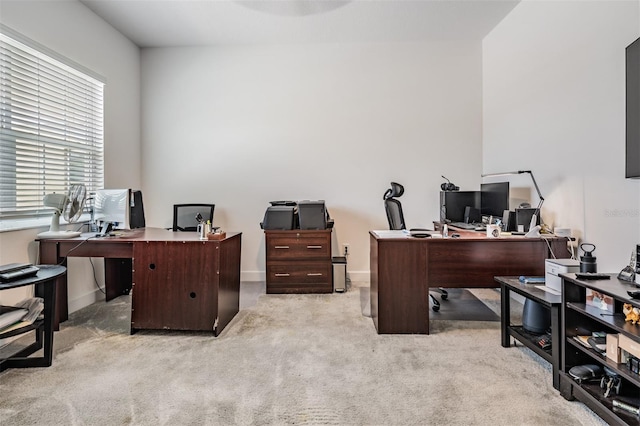 3197 Acacia Bay Ave, Wesley Chapel, FL 33543 - office space featuring carpet