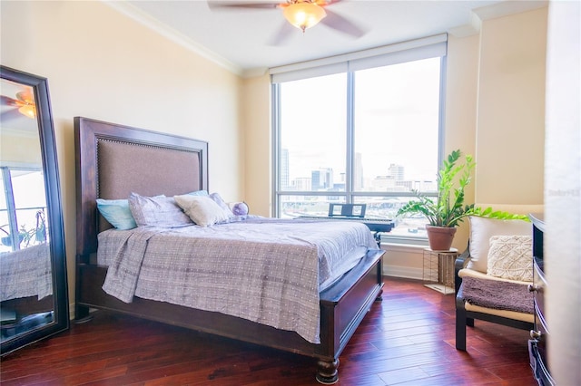 1209 E Cumberland Ave Unit 1003, Tampa, FL 33602 - bedroom featuring ornamental molding, dark wood finished floors, a city view, a ceiling fan, and expansive windows