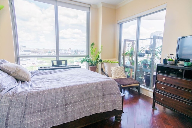 1209 E Cumberland Ave Unit 1003, Tampa, FL 33602 - bedroom with a view of city, ornamental molding, and dark wood-style flooring
