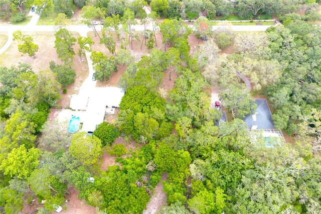 Duane Ct, Spring Hill, FL 34610 - photo 5