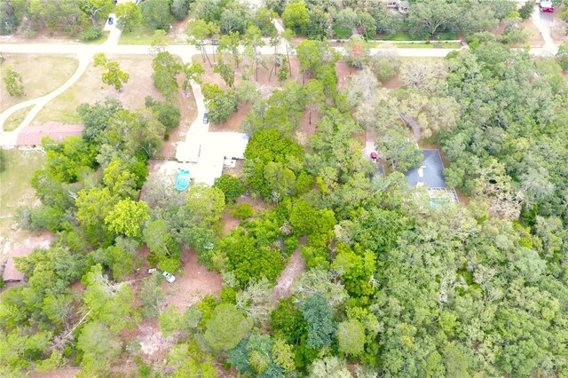 Duane Ct, Spring Hill, FL 34610 - photo 6