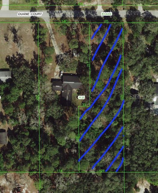 Duane Ct, Spring Hill, FL 34610 - photo 7