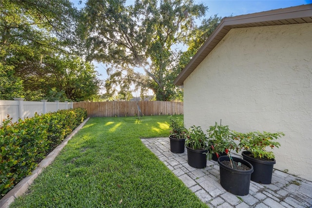 2043 Wrangler Dr, Brandon, FL 33511 - view of yard
