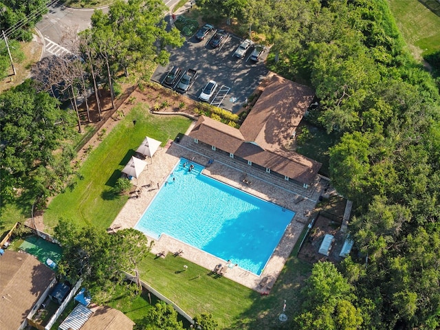 2043 Wrangler Dr, Brandon, FL 33511 - aerial view of a pool