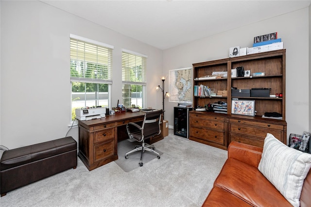 8423 Praise Dr, Tampa, FL 33625 - view of carpeted office