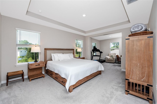 8423 Praise Dr, Tampa, FL 33625 - bedroom featuring a raised ceiling, light colored carpet, and baseboards