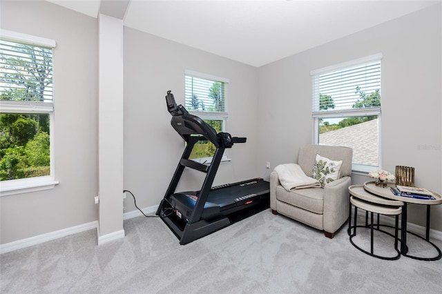8423 Praise Dr, Tampa, FL 33625 - exercise area featuring baseboards and carpet