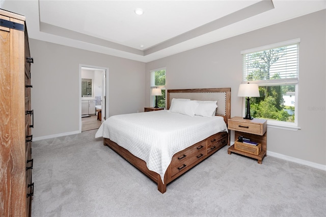 8423 Praise Dr, Tampa, FL 33625 - bedroom with a tray ceiling, light carpet, and multiple windows
