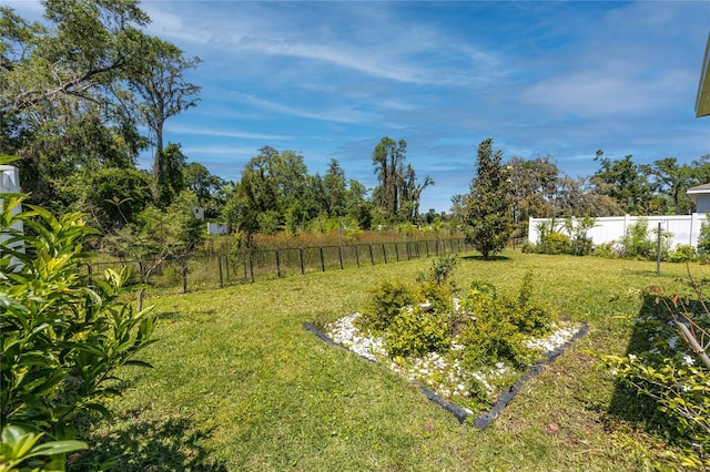 8423 Praise Dr, Tampa, FL 33625 - view of yard