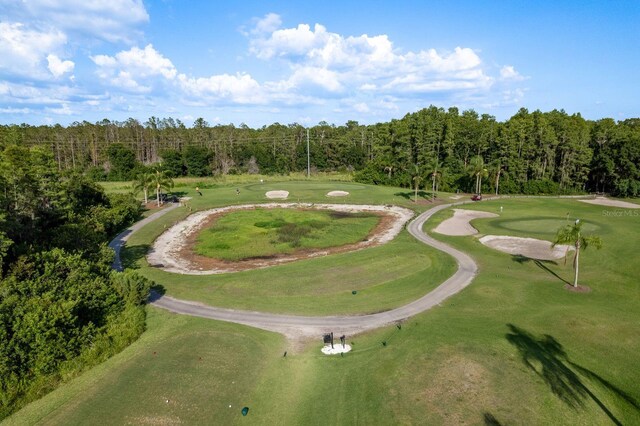 3337 Crescent Oaks Blvd, Tarpon Springs, FL 34688 - photo 48