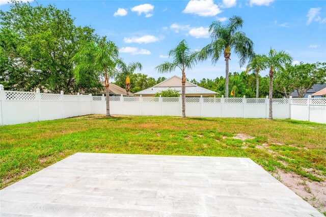 17342 Lawn Orchid Loop, Land O Lakes, FL 34638 - view of yard featuring a patio
