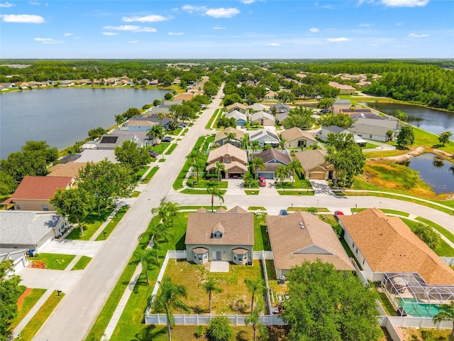 17342 Lawn Orchid Loop, Land O Lakes, FL 34638 - aerial perspective of suburban area with a nearby body of water