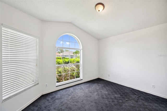 899 Addison Dr NE, Saint Petersburg, FL 33716 - unfurnished room featuring dark colored carpet and vaulted ceiling