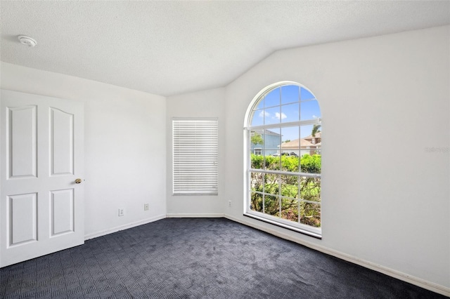 899 Addison Dr NE, Saint Petersburg, FL 33716 - spare room with dark carpet, vaulted ceiling, and a smoke detector