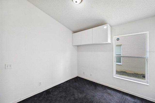 899 Addison Dr NE, Saint Petersburg, FL 33716 - spare room with dark colored carpet, a textured ceiling, and lofted ceiling