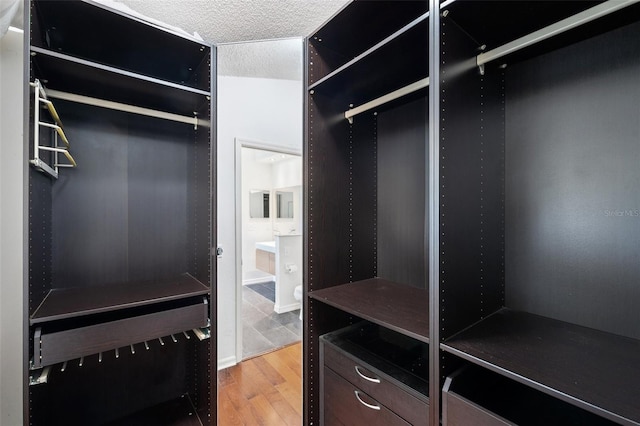 899 Addison Dr NE, Saint Petersburg, FL 33716 - walk in closet featuring light wood-type flooring